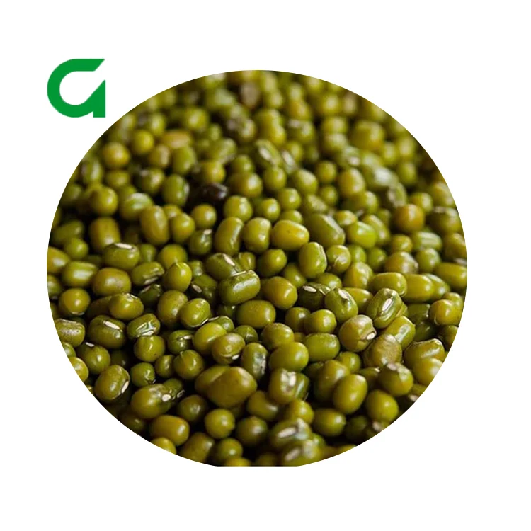 
Uzbekistan Organic Green Mung Beans With Lower Price 