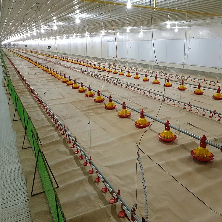 High quality plastic building material commercial egg chicken house design for layers