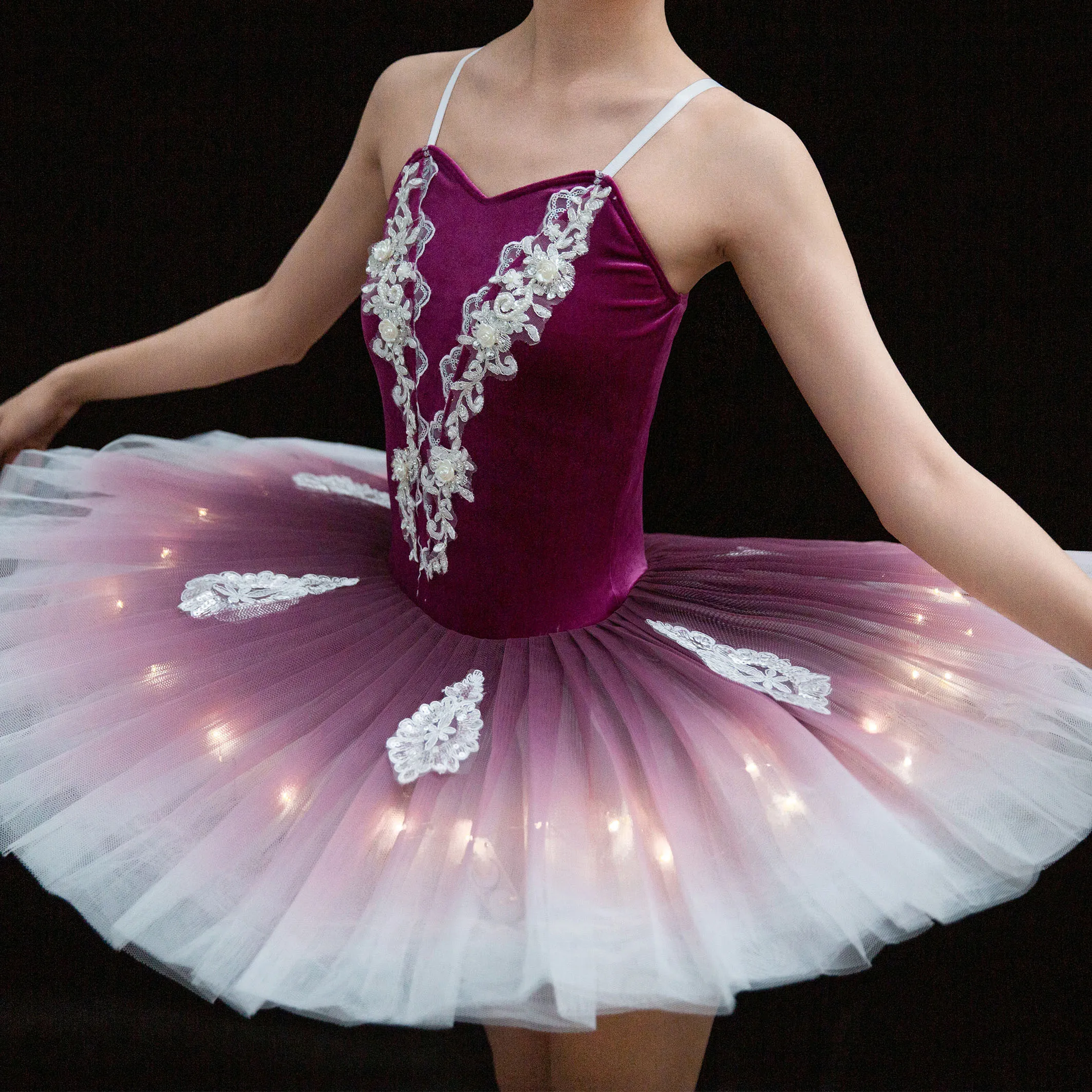 Swan Lake Ballet Dress purple Fluffy stage performance Dance Costume Embroidery  applique Tutu Dresses Training Dancewear
