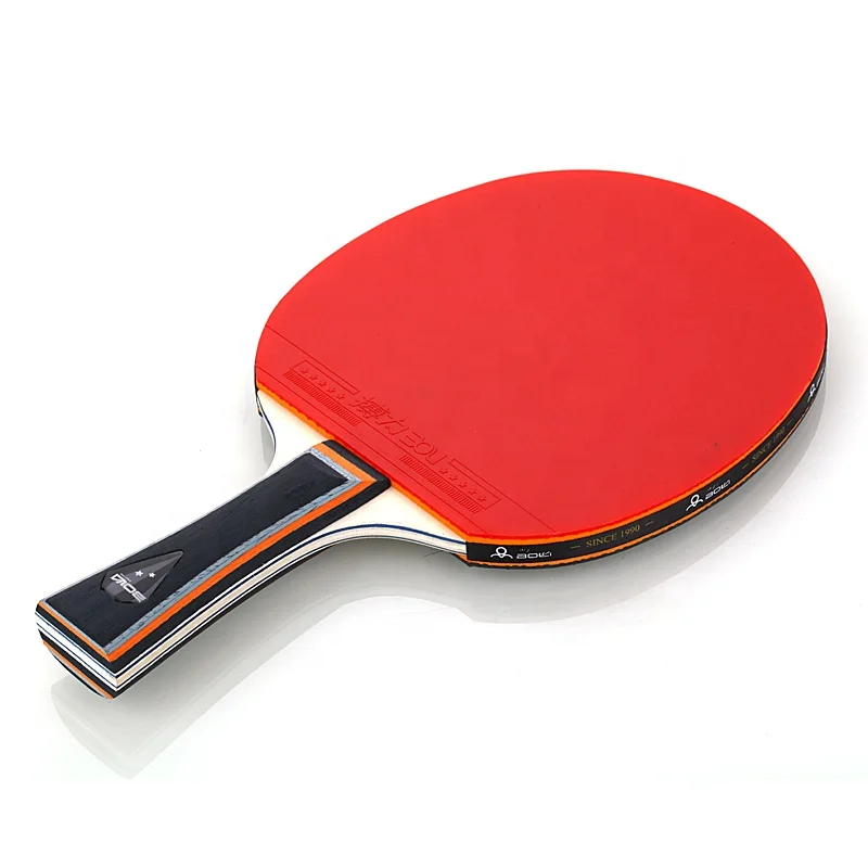 Indoor Fitness Exercise Cheap Ping Pong Paddle Bat Table Tennis Racket Boli-2star Pimples in Poplar Wood Sport Users CN;JIA 5pcs