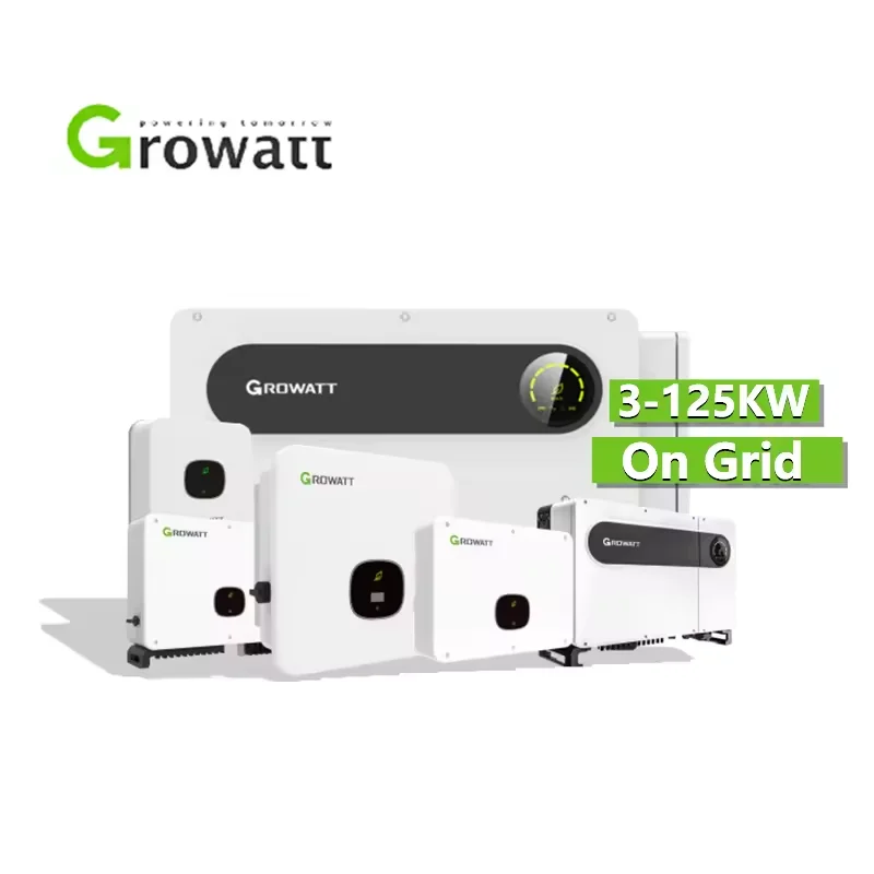 Growatt String On Grid Ongrid Solar Inverter 8Kw 10Kw 48V Single Phase Mppt Price Min 7000-10000Tl-X Store 2024