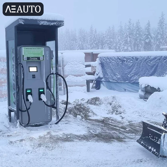 Dc Ev Charger Manufacturer 20kw 120kw 160KW CCS Electric Vehicle Car Bus Super Fast Commercial Charging Station 200kw