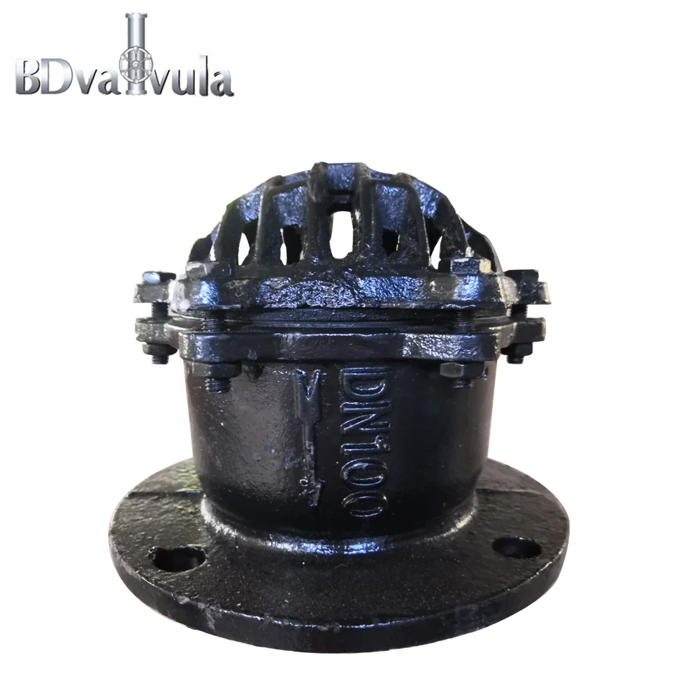  Black foot valve used in water treatment with stainless steel