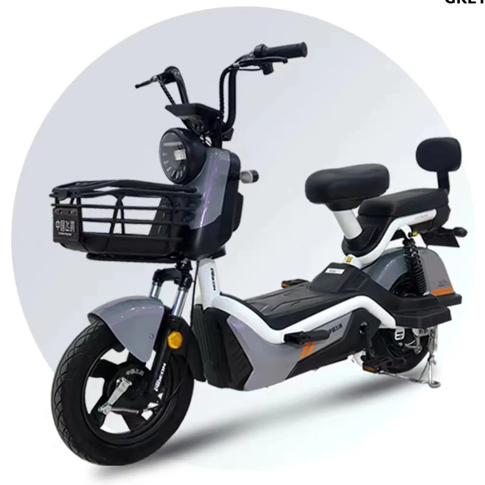 48V 20AH Long Range Electric city bicycle (FP-ES-LT2302)