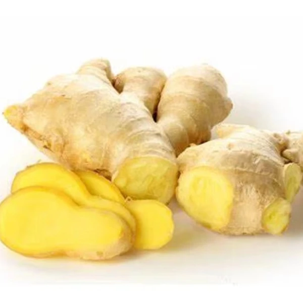 Indonesia agricultural products FRESH GINGER from local farmers trusted community export and high quality