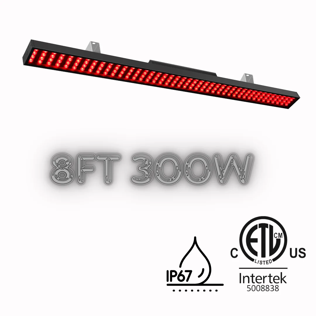 ETL cETL Listed 160w 300w Hot Sale Waterproof  DMX RGBW Linear Led Car Wash Light Auto Workshop Layout Design Led Tunnel Light