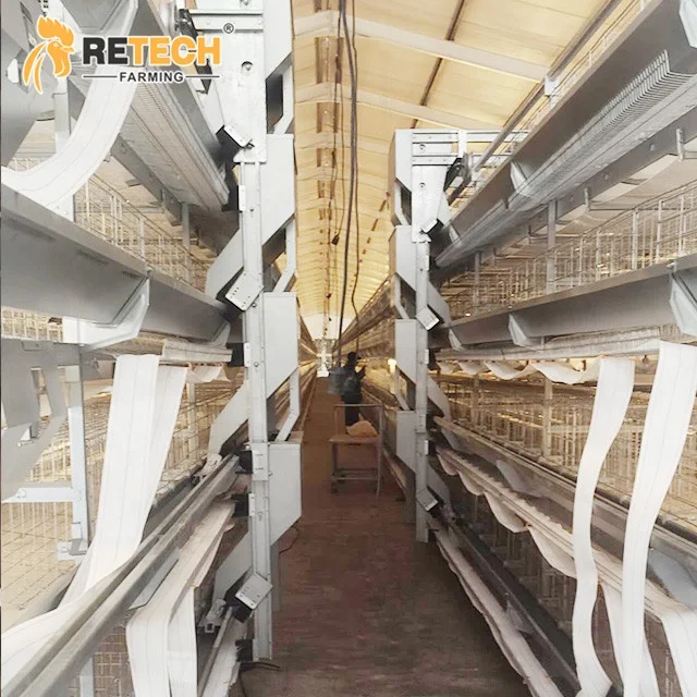 2024 RETECH Farming Automatic Egg Laying Chicken Cage Layer Equipment in Poultry Farm