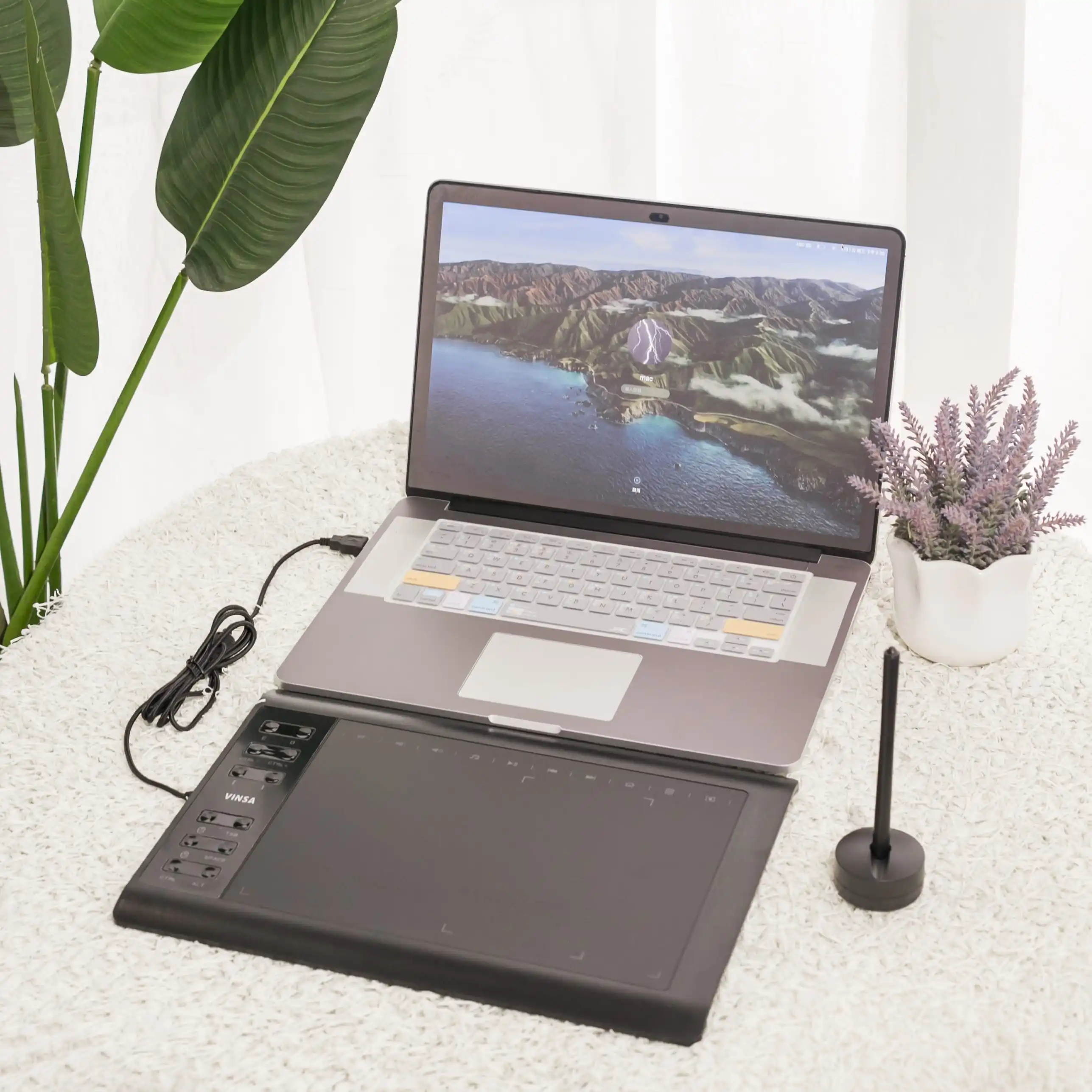 Горячая Распродажа Vinsa VIN1060Plus 8192 уровней давления дешевый портативный USB взаимодействующий цифровой стилус