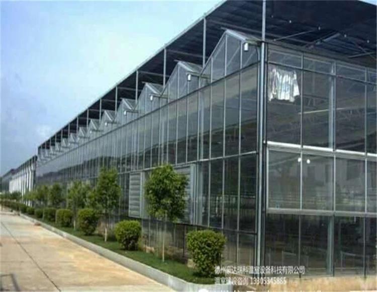 galvanized venlo greenhouse insulated tempered agriculture glass greenhouse