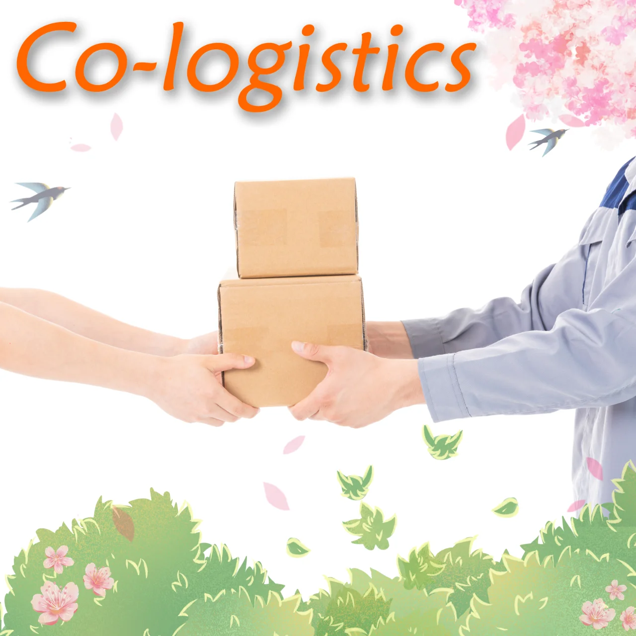 Shipping Agent Warehouse Storage Sourcing Dropshipping Service To Rotterdam Netherlands