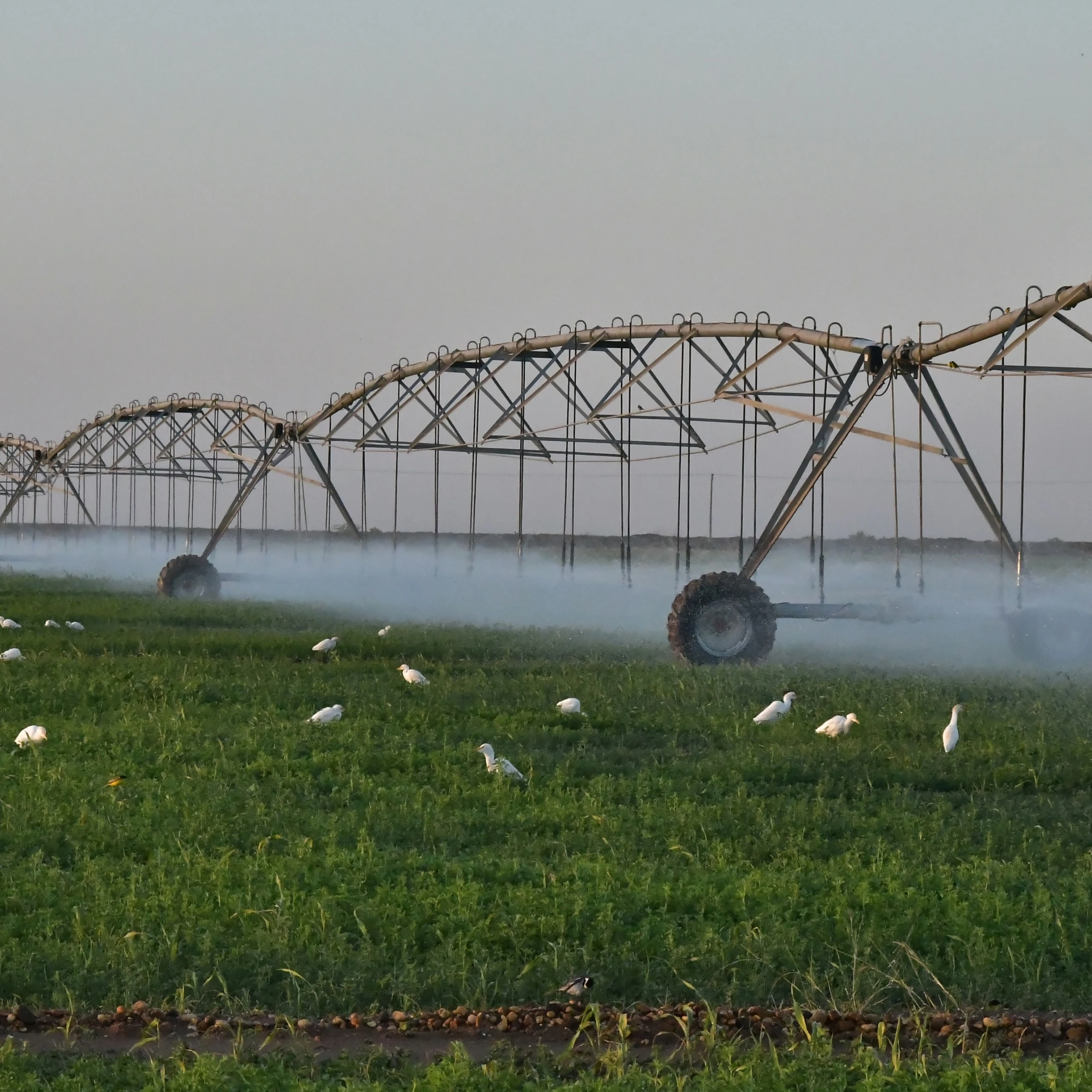 2022 Cheapest price Towable Center Pivot Irrigation system for big potato farm