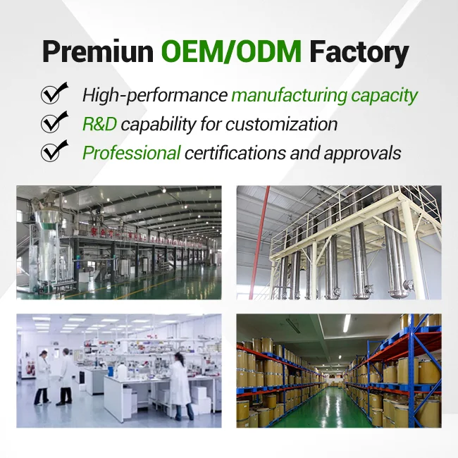 AUVO  OEM Factory Supply 98% Dried Apricot Fruit extract Powder Natural 	10:1 apricot fruit powder