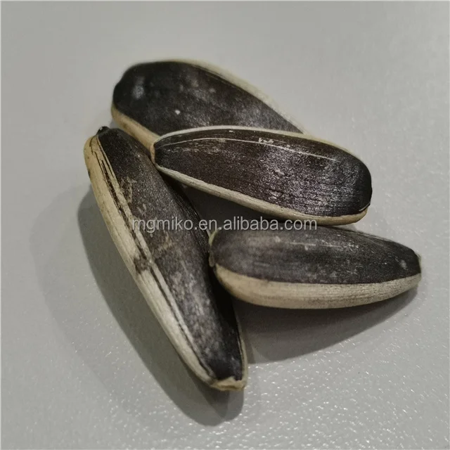 Black sunflower seeds 363/361 Chinese supplier Export