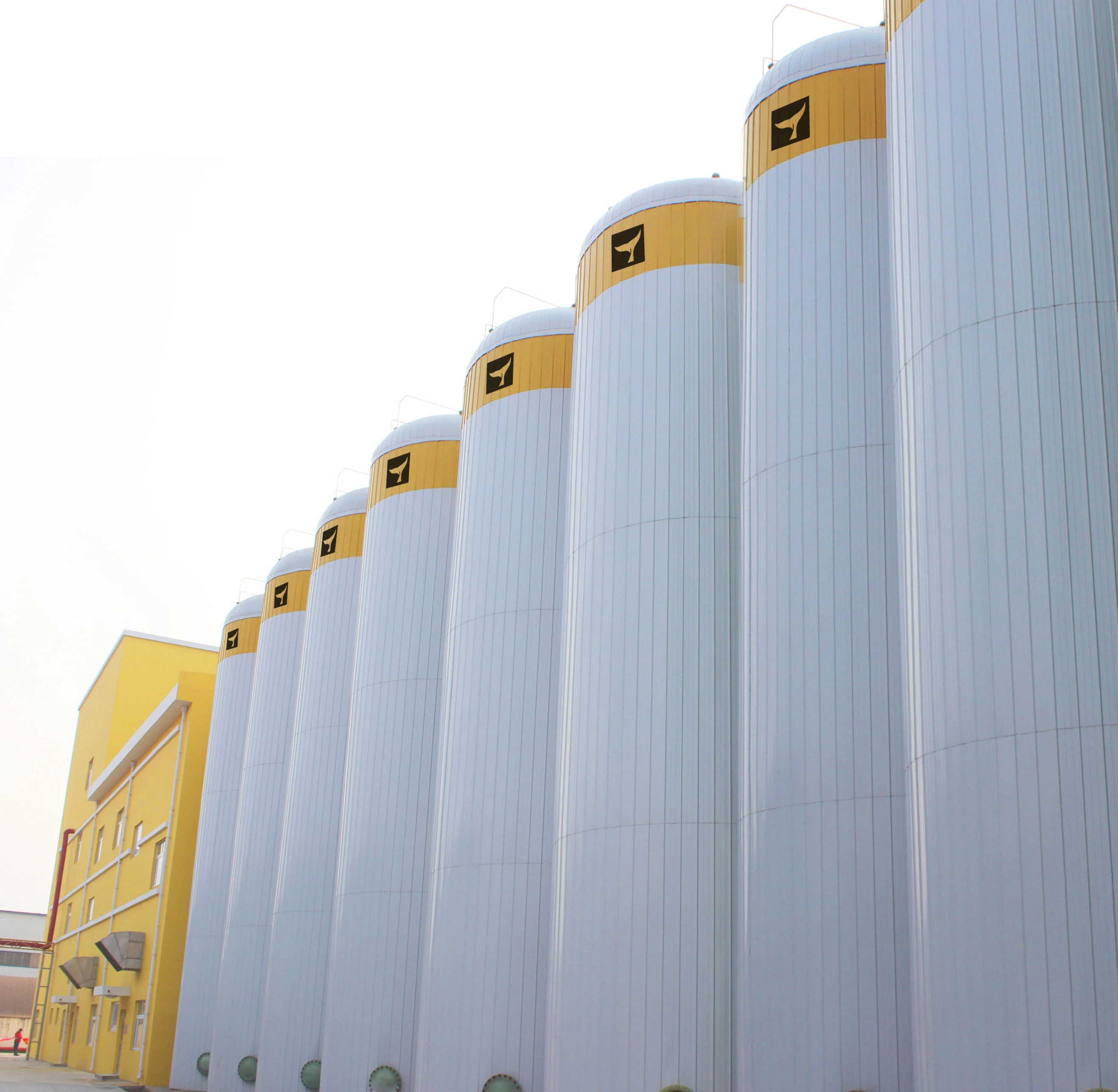 Japanese Naturally Brewed Tamari Soy Sauce 1L Food Service ,Retail,HALAL and KOSHER Certificate