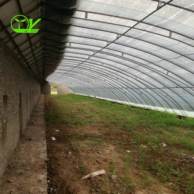 Industry best-selling green greenhouse tunnel greenhouse hydroponic system