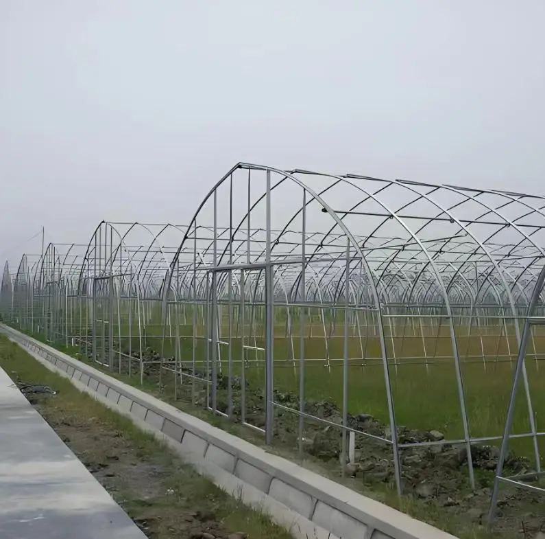 Large Single Span Agricultural Tunnel Greenhouse with Arch Roof Low Cost Steel and Plastic Film Material for Plant Usage