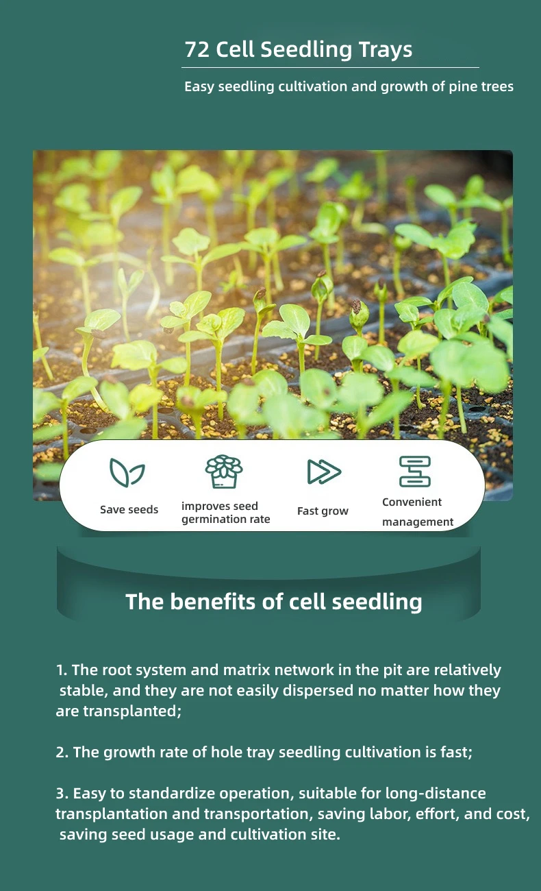 China Manufacturer Garden Propagation Tray Plant Seed Starter Tray with Dome Base Plastic Seedling Tray Nursery Planting