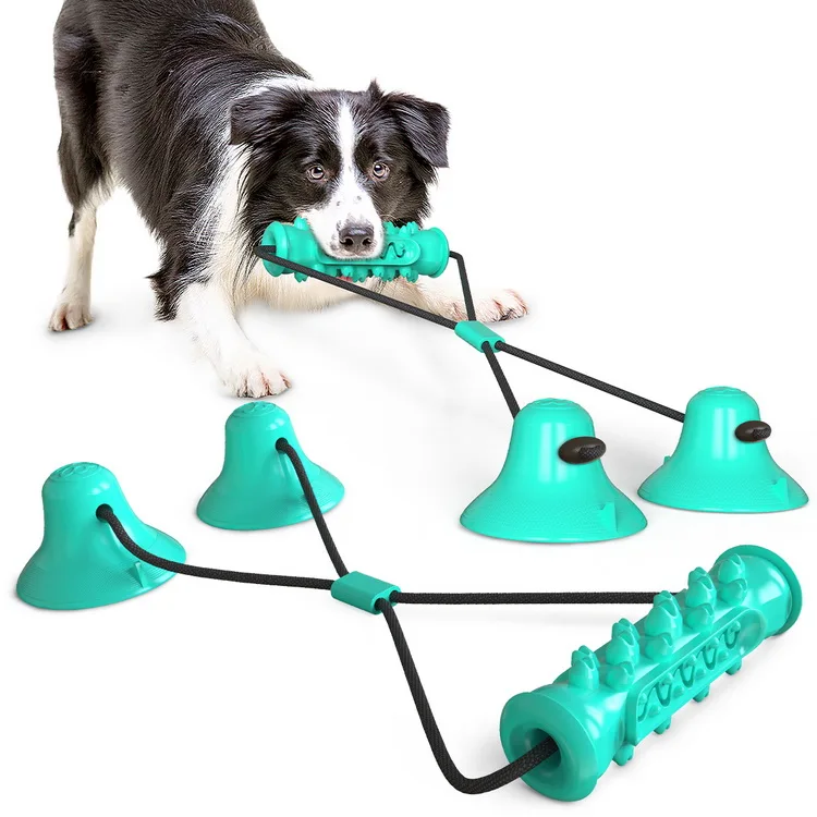 Explosion interactive ball dog molar pet products suction cup toy for dogs