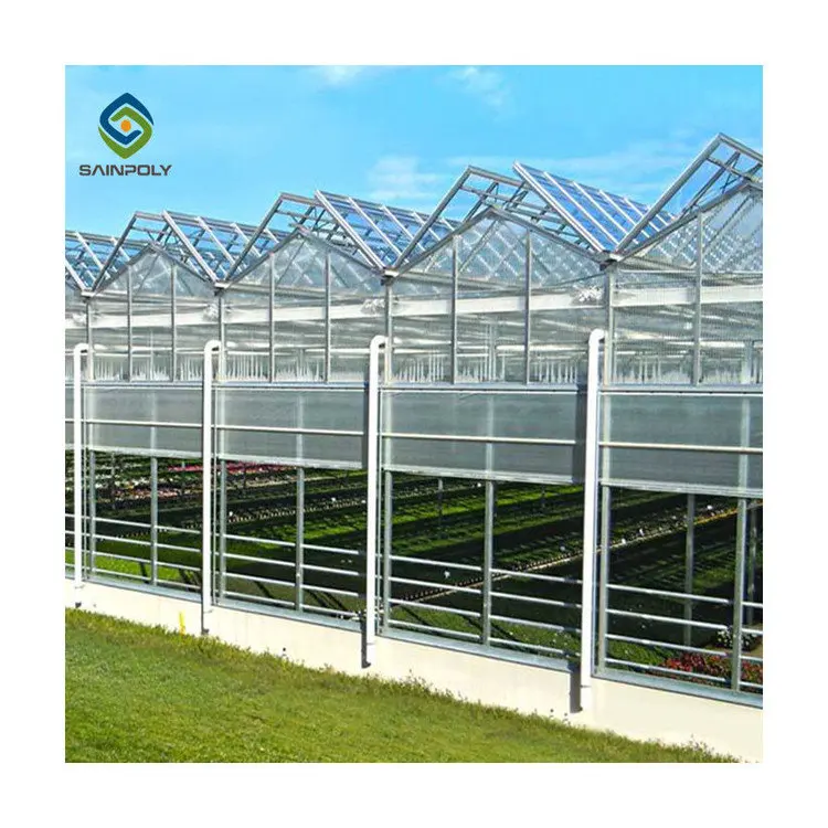 Agricultural in-solar single-span greenhouses with Hydroponics Growing Systems