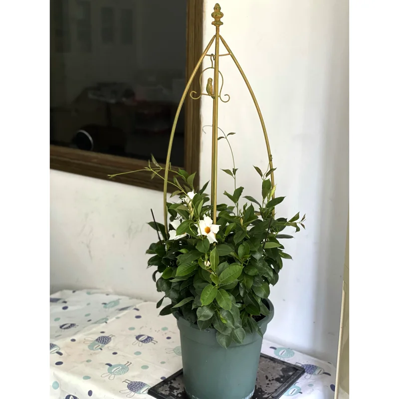 Garden metal climbing plant trellis plant stand decorative iron metal flower rack iron plant stand