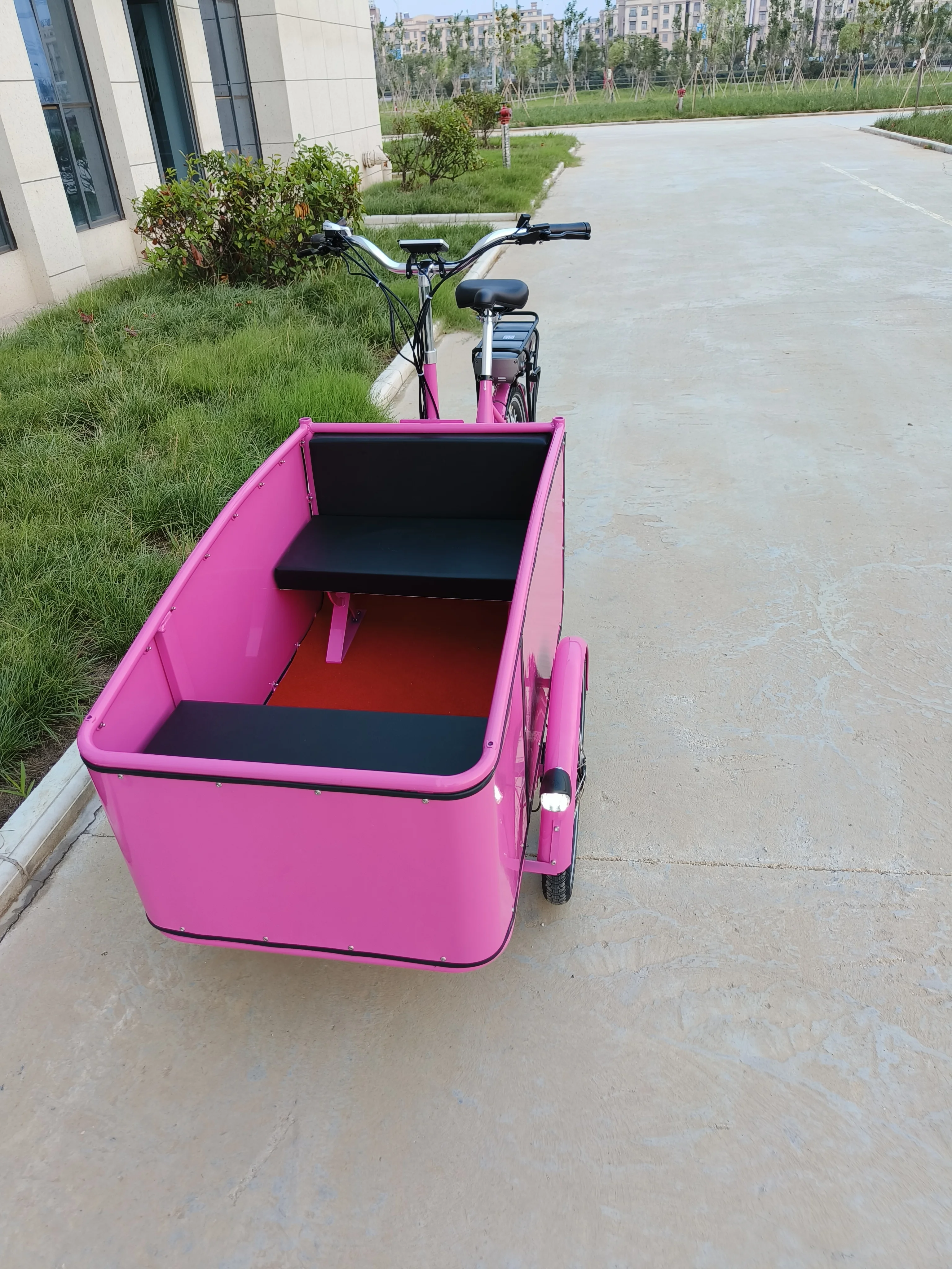 3 Wheel Family Use Cargo Bike Electric  New Style 250W Front Loading Cargo e bike Bicycle