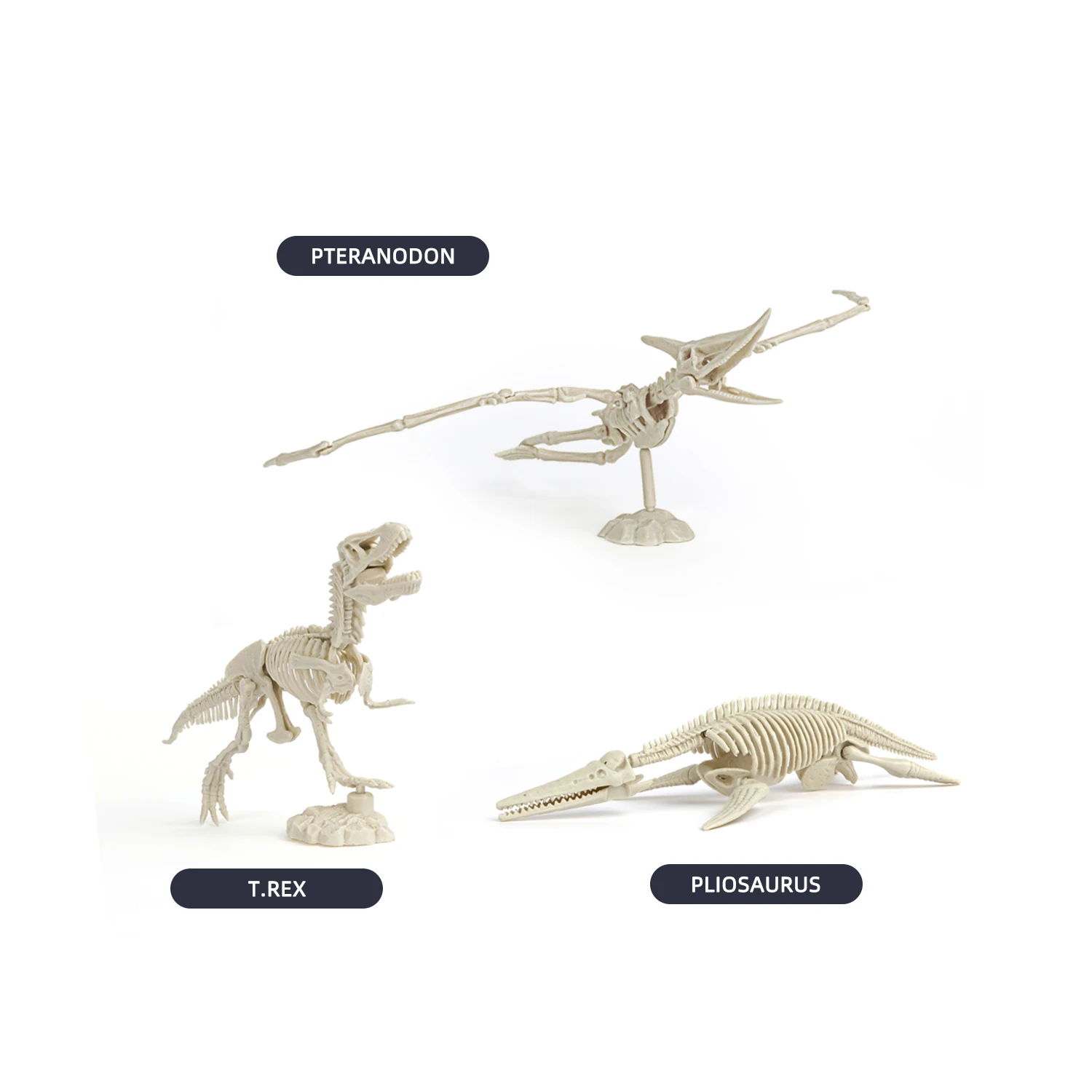 OEM Customized Logo DIY Dinosaur Toy Plastic Dino Dig Kit Educational Excavation Set for Kids Other Toys