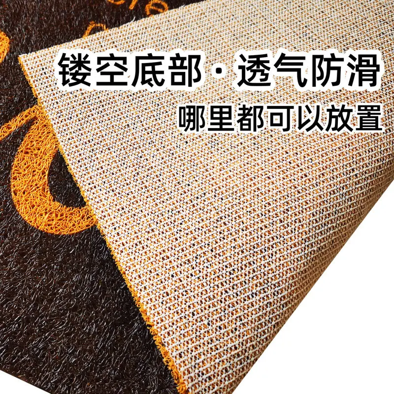 Cartoon silk floor  entry door mat home living room bathroom non-slip porch carpet