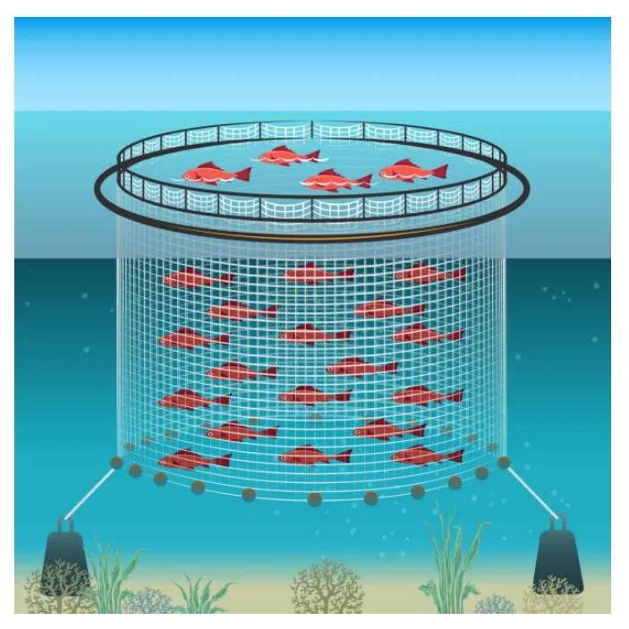 Aquaculture Equipment Indoor Fish Farm Ras System Recirculating Aquaculture Fish Farming