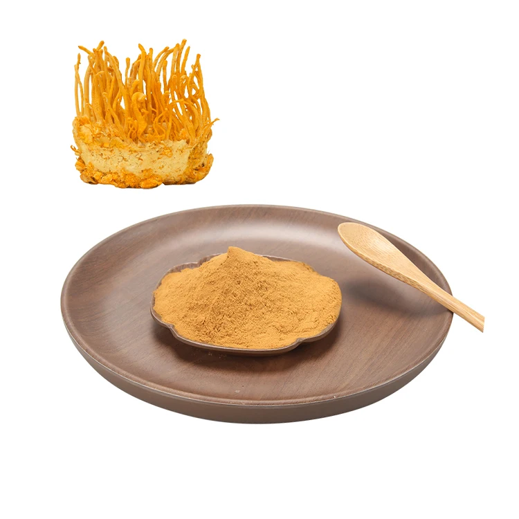 Cordyceps Militaris Liquid Solvent Extracted Fruit Powder for Health Food Packaged in Drum