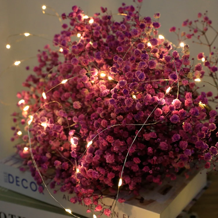 Twinklight Christmas Battery Operated Warm White RGB Firefly Starry Light Flexible Wateprrof Twinkle Fairy String Lights