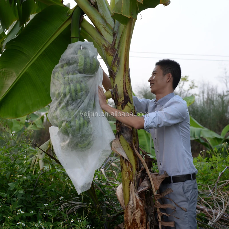 
Non Woven Fabric Fruit Protection Bags Banana Eco-feiendly 