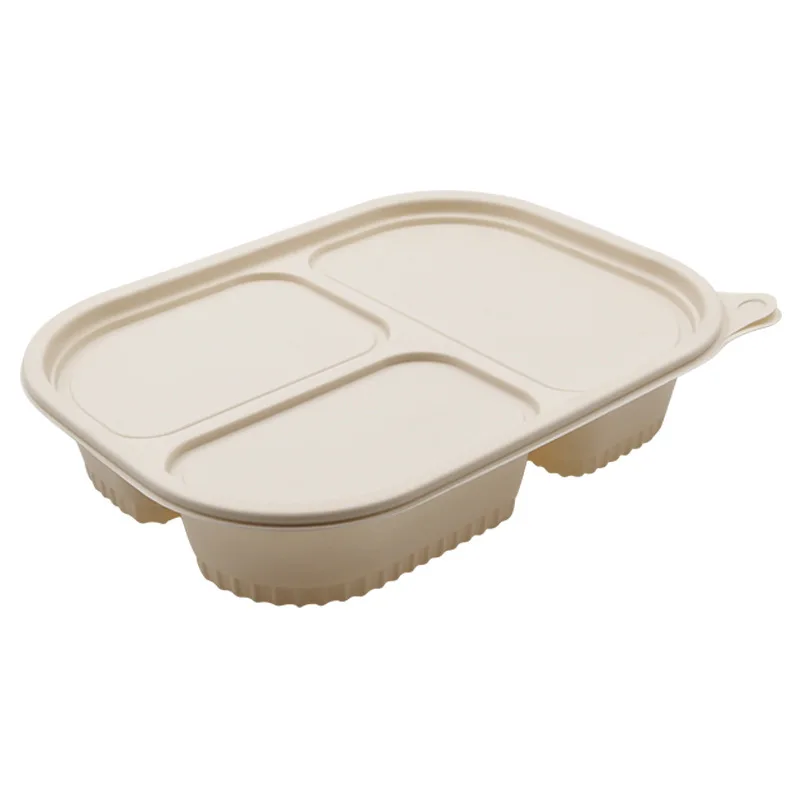 Wholesale Disposable Packaging Food Container Compostable 3 Compartment Lunch Box for Biodegradable Disposable Tableware