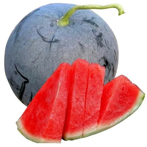 Black skin  oblong Cylindrical shape red flesh Seeds for open field planting