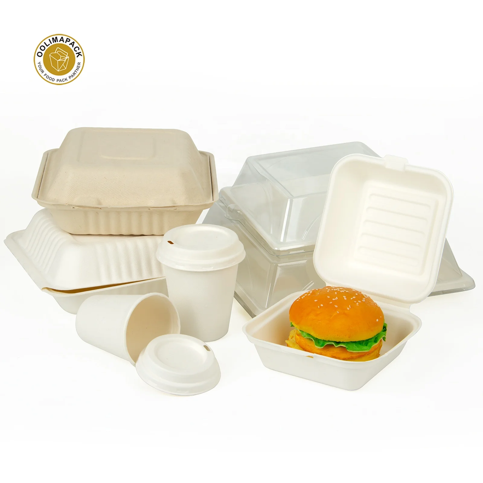 Disposable Customization Sugarcane Bagasse Tray with Lid  Eco Friendly Products Bagasse Lunch Box Container