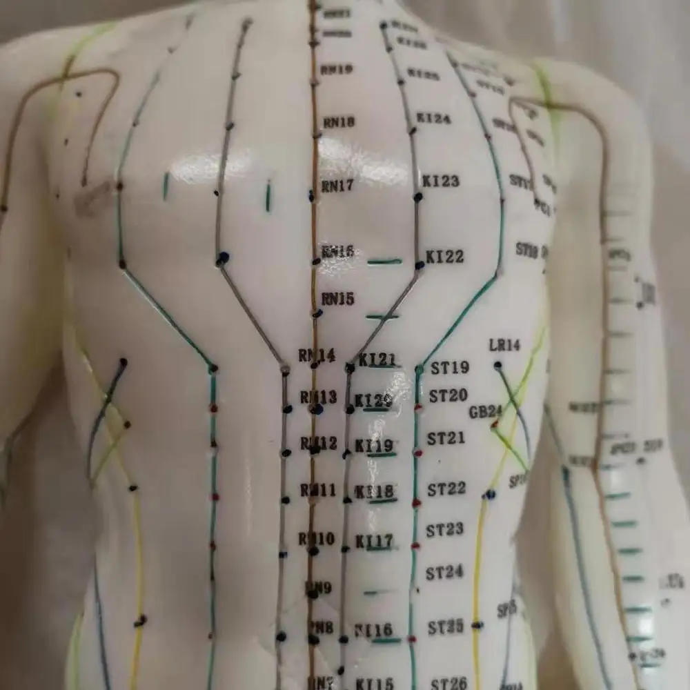 Top Quality 70CM Male Human Body Acupuncture Points Model Meridians Model Teaching Model English User Manual