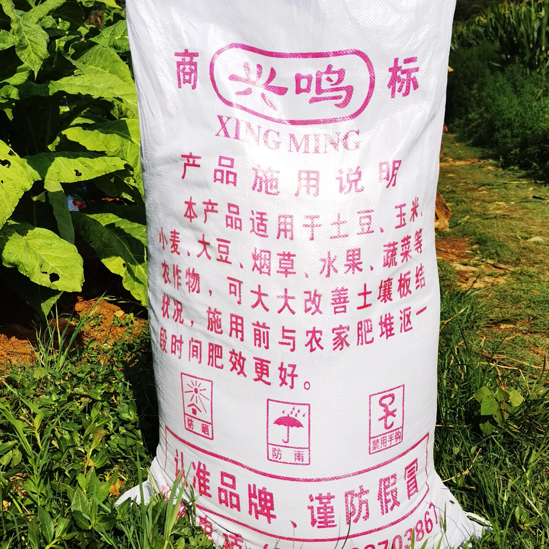  Chinese Manufacturer Direct Packing:25/50/1000KG Bags Field