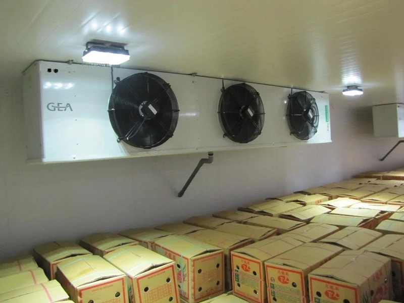 20W Cold Storage IP68 Rated Industrial Frozen Wall Lamp New Outdoor Refrigerator with Light for Storage