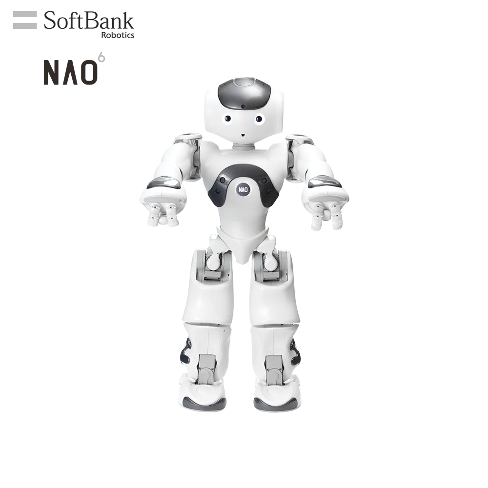 SoftBank Robotics Educational Intelligent Robots For STEM K12 & In-Deepth AI Learning Education, Humanoid Legged Little Robot