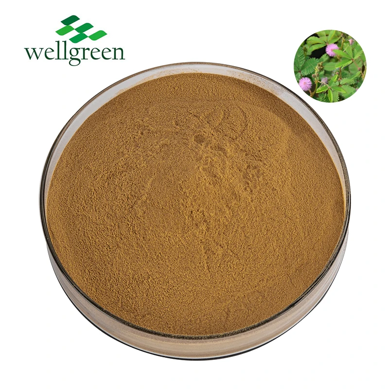 100% Natural Mimosa Powder Herbal Extract 10:1 Pudica Mimosa Root Bark Extract