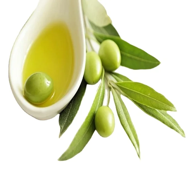 Hot Selling quality Olive Leaf Extract