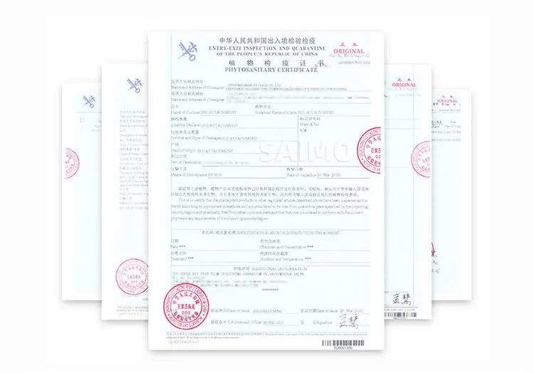 walnut kernel extra light half.jpg