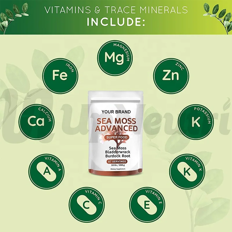 High Quality Organic Irish Sea Moss Burdock Root Powder with Private Label for Thyroid and Immune