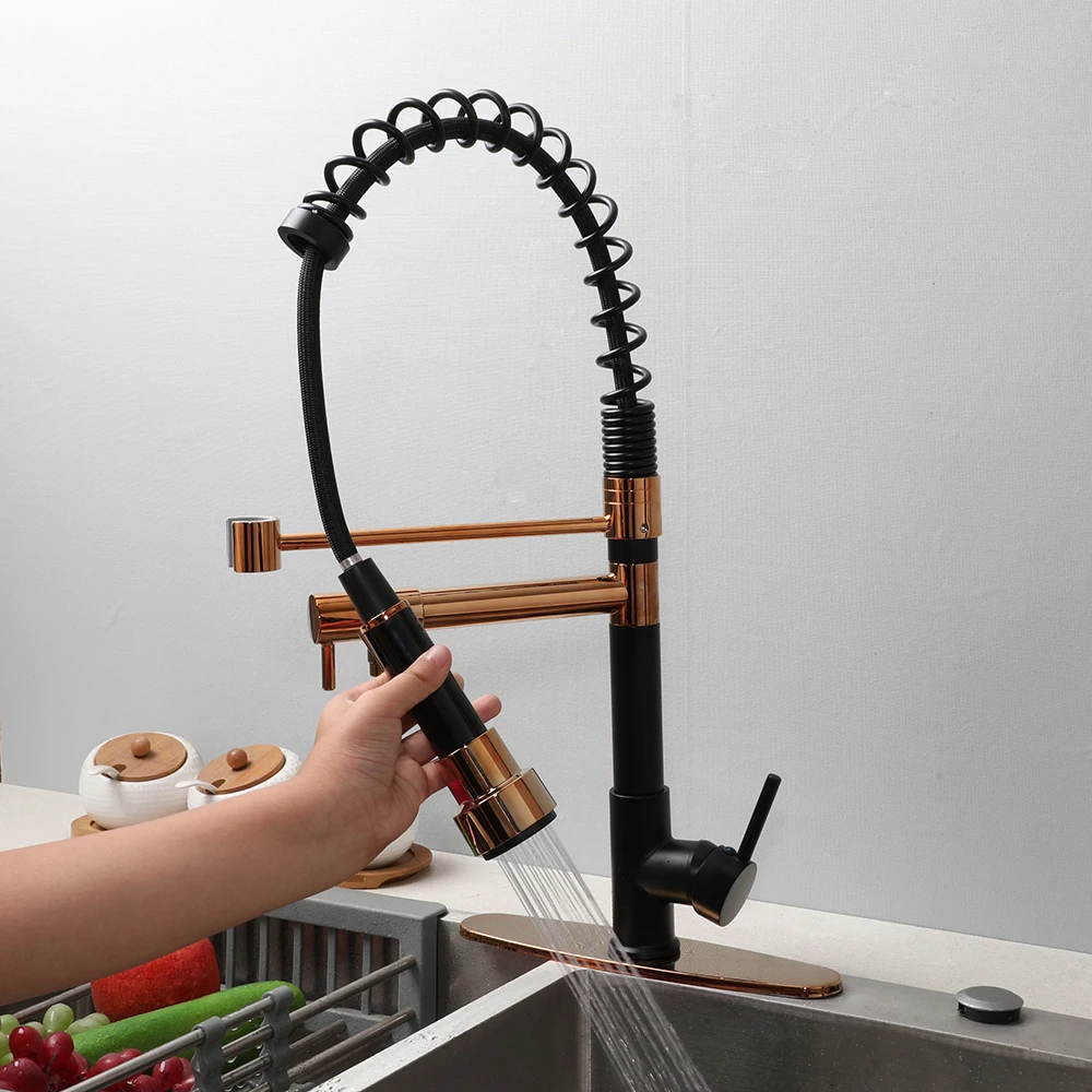 New Stainless Steel Spring Faucets Mixers & Taps Faucet Kitchen Faucet kitchen With Cover/Plate