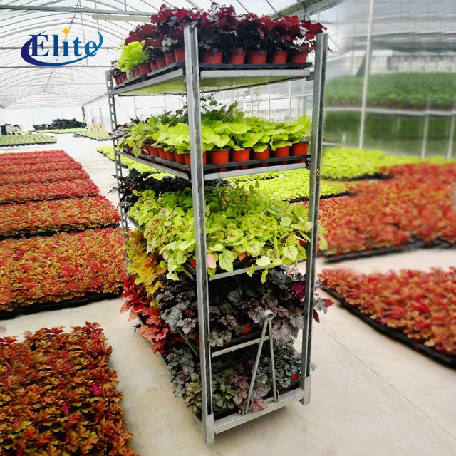 Plant transport trolleys flower pot carts hand trolley manufactures Cc Container Danish Trolley