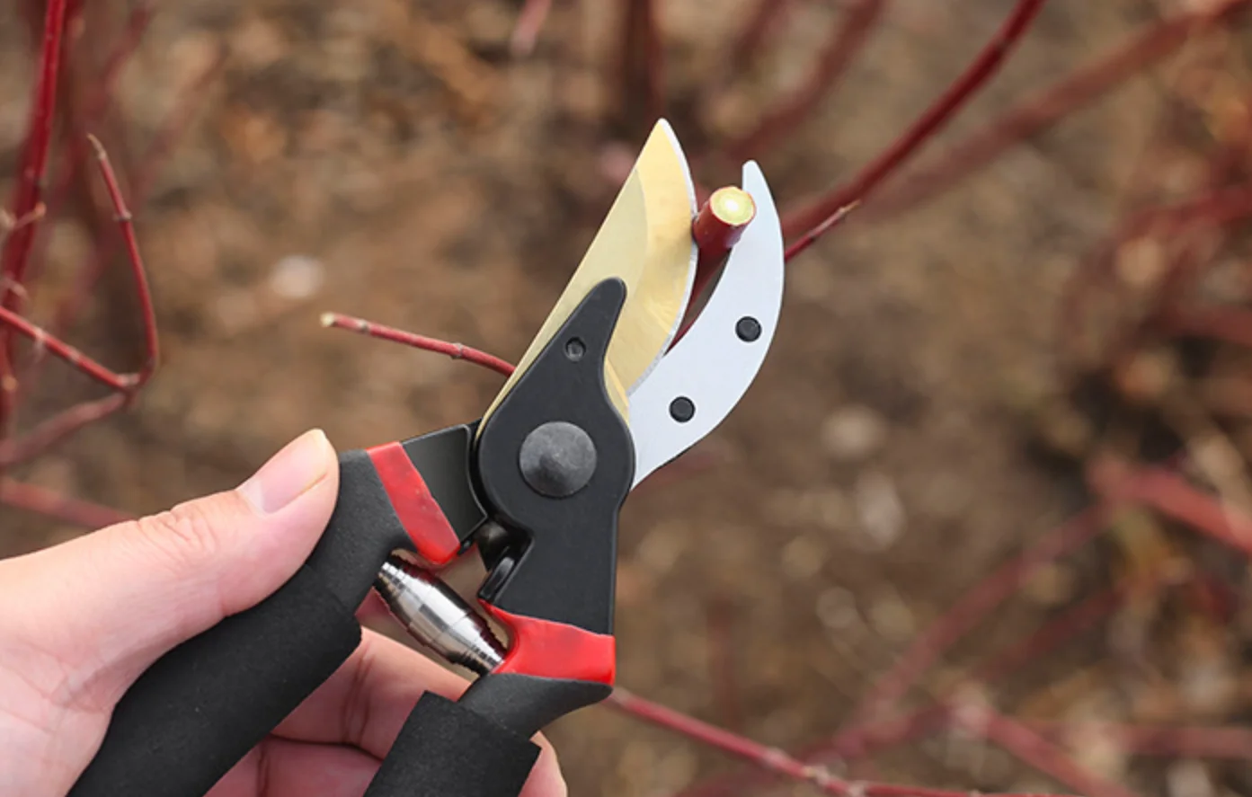 Top Seller Electrician Safety Lock Spring Scissors Stainless Steel Wire Shears Hot Sales for Garden Pruning Tool Set