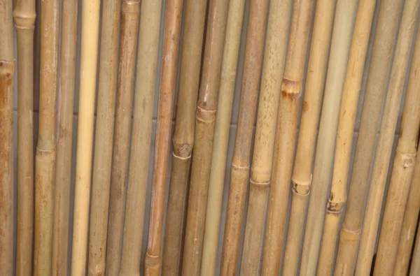 Natural straight bamboo stake Tonkin bamboo cane Guangdong original for planting