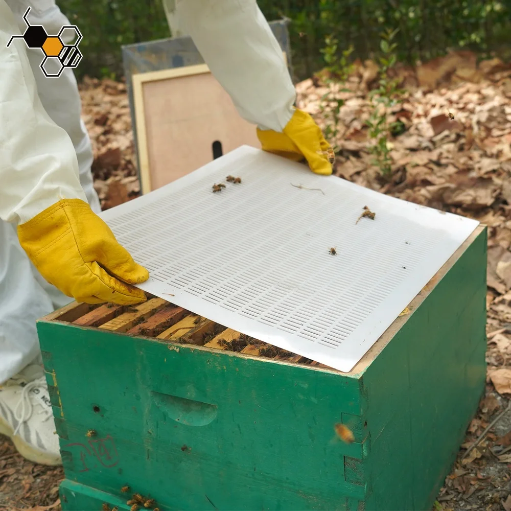 Bee Beekeeping Equipment Tools Material Excluidor De Plastico Queen Excluder Screen Plastic For Melifera