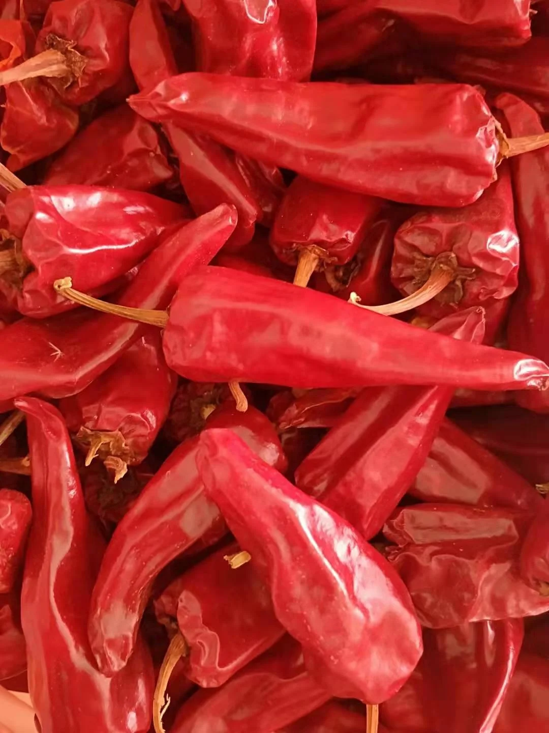 2022 new crop yidu red chili dry red chili for sale beijing red chili