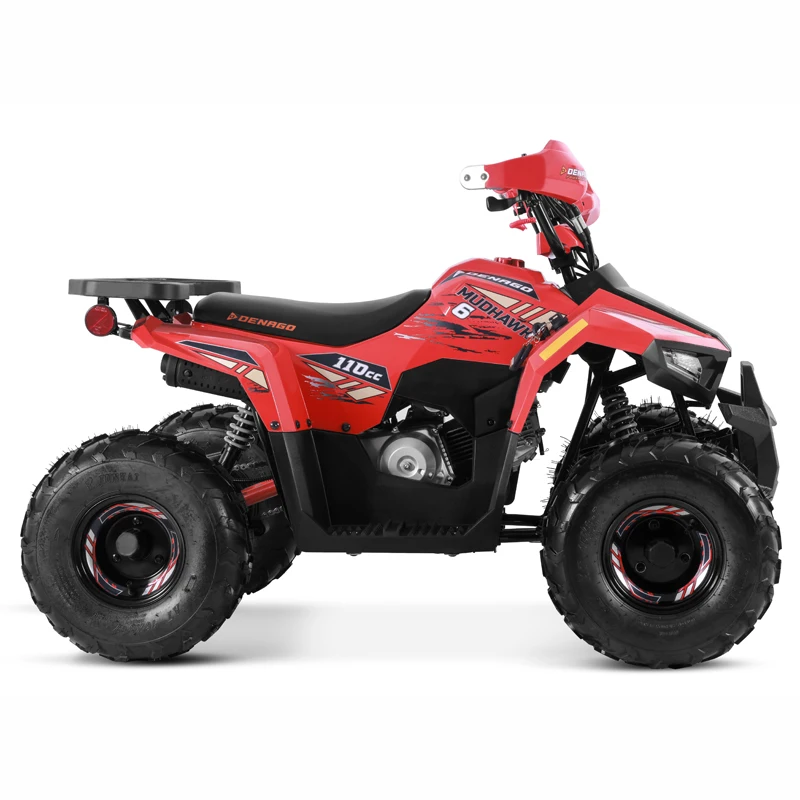 Tao Motor 2025 New 110cc ATV Quad Bike Cuatrimoto Cheap Chinese Kids 110cc ATV with EPA CE