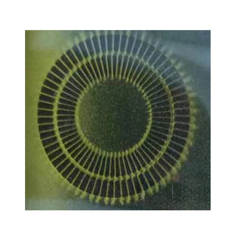 32pole 64 poles 128poles multipolar ring magnet Multipole magnetized ferrite ring magnet for sensor encoders